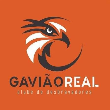 GAVIÃO REAL