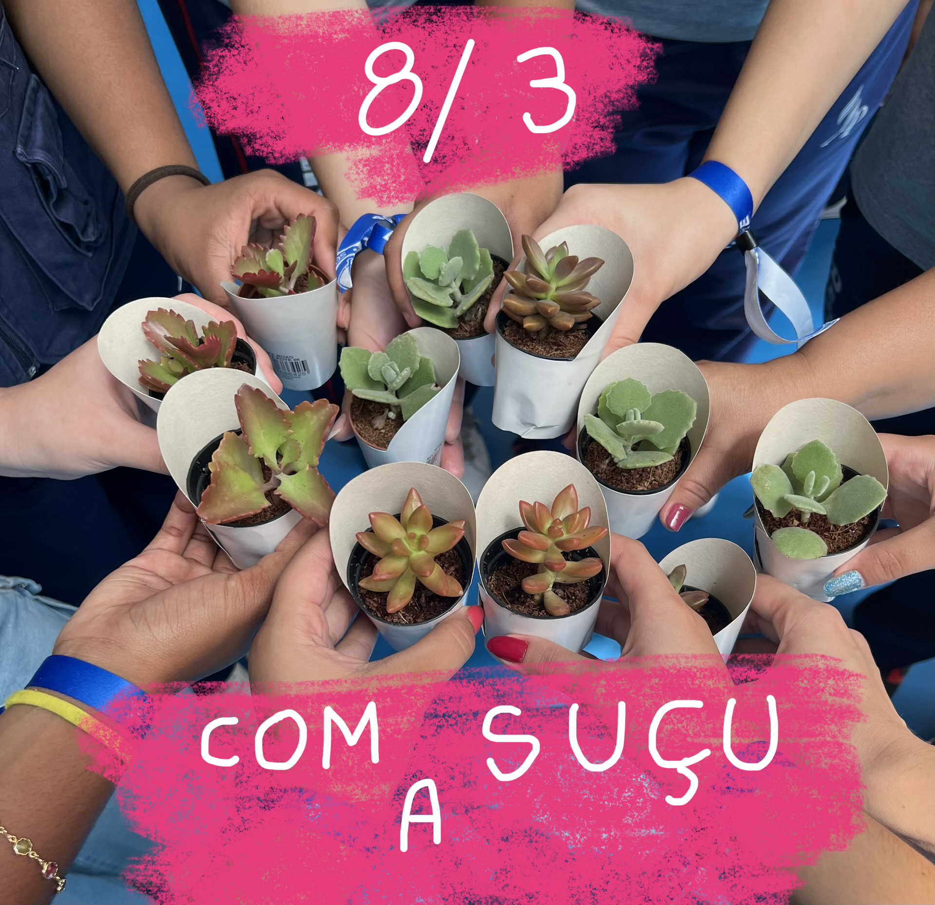 Evidência Foto 5
